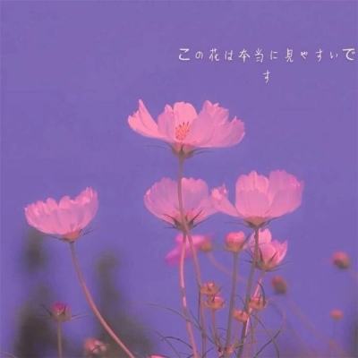2026 CAIMRS | 本土品牌超过半壁...